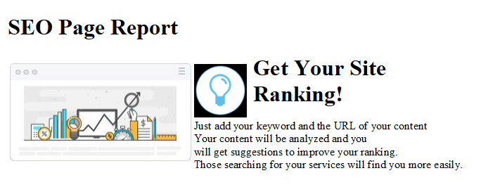 SEO Page Report