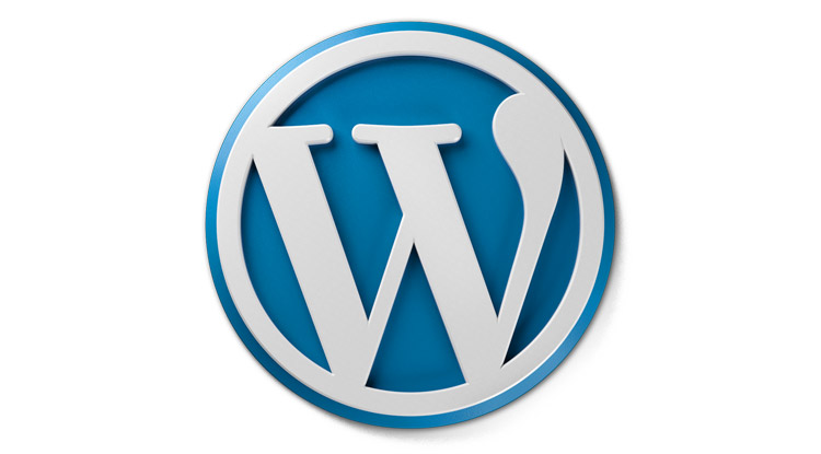 Wordpress plugin installation service